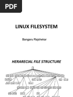 Linux File System