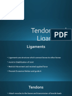 Lect 8 Biomechanics ligAMENT TENDON