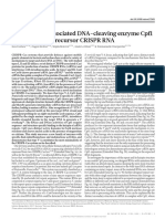 The CRISPR-associated DNA-cleaving Enzyme Cpf1 Also Processes Precursor CRISPR RNA