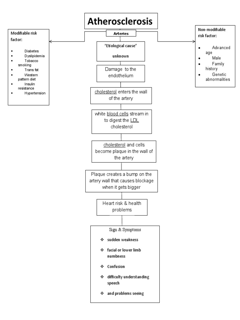 Atherosclerosis Risk Factors Overview | PDF