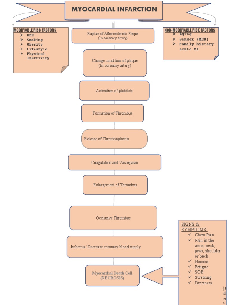 Myocardial Infarction Risk Factors | PDF