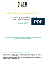 Presentación Componentes SGTSS - Julio Cesar Betin Arce
