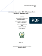An Introduction To The 1998-99 Pakistan Socio-Economic Survey (PSES)