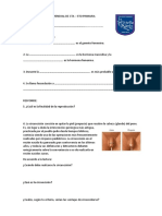 Examen Mensual de Cta 5