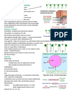 Lect 1 Human GI Tract and Renal Physiology