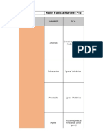 Tabla de Caracteristicas de Rocas