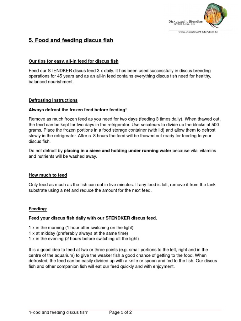 Food and Feeding Discus Fish Our Tips For Easy, AllIn Feed For Discus