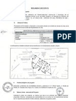 1. Resumen Ejecutivo