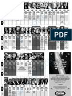 Presidentes Argentinos PDF