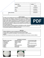 Informe de Laboratorio 2