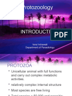 Proto- Intro 13.pptx