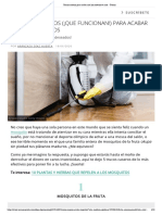 Trucos Caseros para Acabar Con Los Insectos en Casa - Trucos PDF