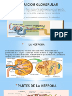 Clase 14. FILTRACION GLOMERULAR