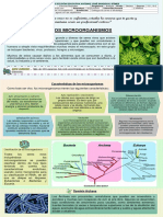 2da Guia Décimo Tercer Periodo S PDF