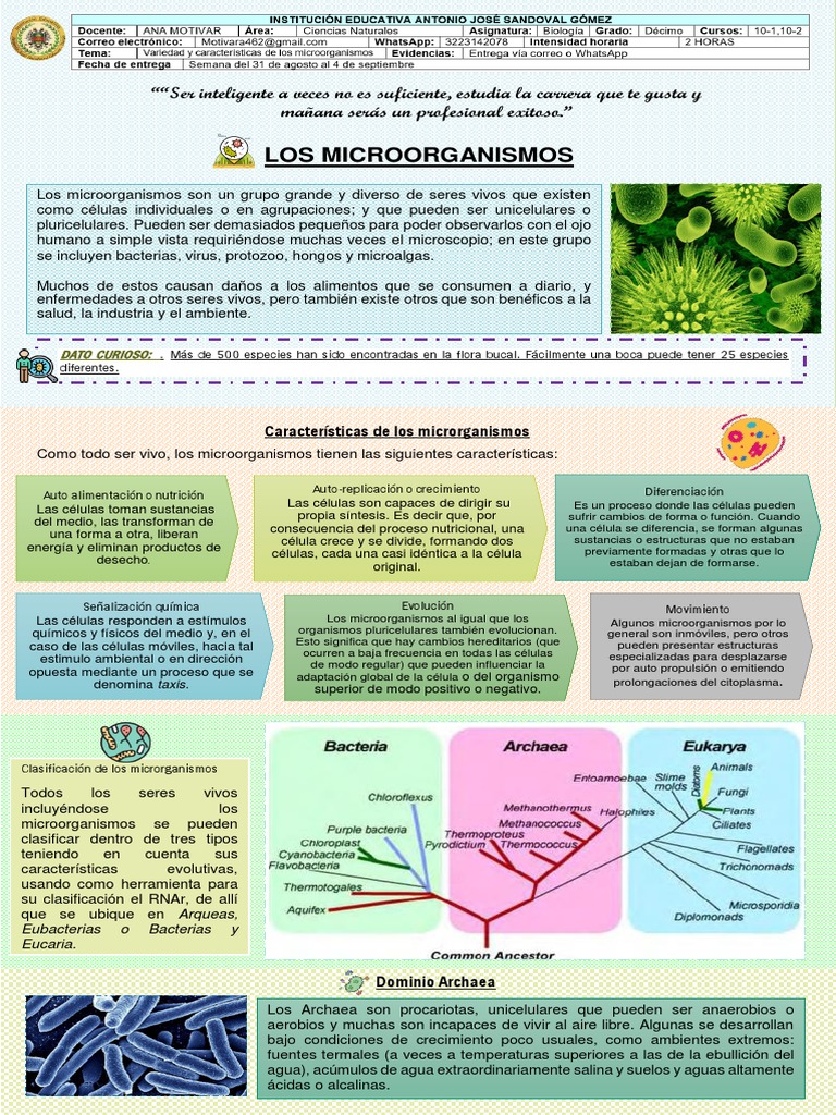 Características y Clasificación de Microorganismos | PDF | Las ...