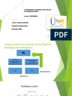 Tarea 2 - Distinguir El Metabolismo Microbiano Como Base de Interacción Suelo-Microorganismo-Planta