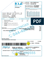 Duplicado Virtual Recibo 10010507420