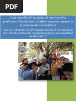 Sistematizacion ADULTOS MAYORES DEFINITIVO1 PDF