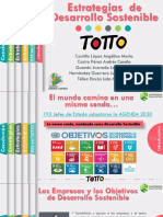 Estrategias de Desarrollo Sostenible en Totto