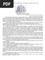 A sociologia e o senso comum