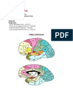 Taller 5 Neuro