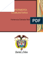 1. ENFERMERÍA COMUNITARIA I 31