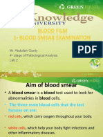 Lab 2 Blood Smear