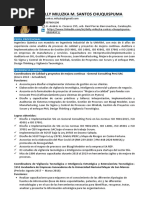 Cv-Miluzka Santos Chuquispuma - 2020