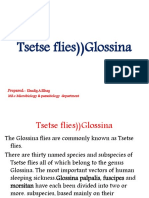 Tsetse Flies) ) Glossina: Prepared