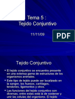 Tejido_Conjuntivo