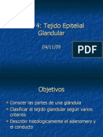 Tejido Epitelial Glandular