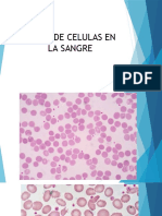 Tipos de Celulas en La Sangre