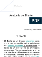 RESTAURADORA 1_Anatomia_del_Diente CLASE 1.ppt