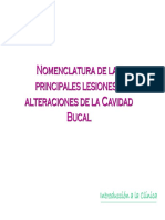 Clase Nomenclatura PDF