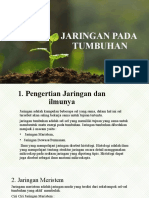 Jaringan Pada Tumbuhan