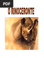 o rinoceronte