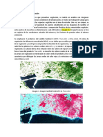 Caracterización vegetación área proyecto usando imágenes satelitales