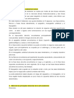 Documento Sin títuloIONAL SEM 05