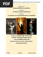 Módulo 12 Unidad 1 Sesión 2: Responsabilidad Penal y Punibilidad