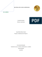 Acciones Constitucionales PDF