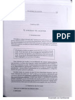 Ruben Oscar Rusena-Auditoria Interna y Operativa-Cap 13 Informe Del Auditor