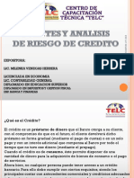 Fuentes y Analisis de Riesgo de Creditos - TELC CENET XXI-2