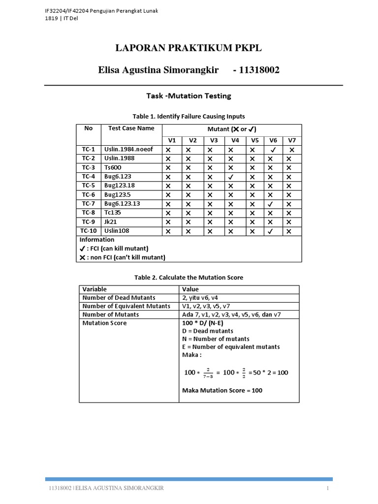 Mutation Testing Report for Software | PDF | Visual Cortex ...