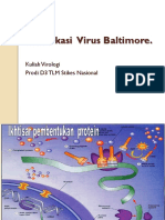Klasifikasi Virus Baltimore