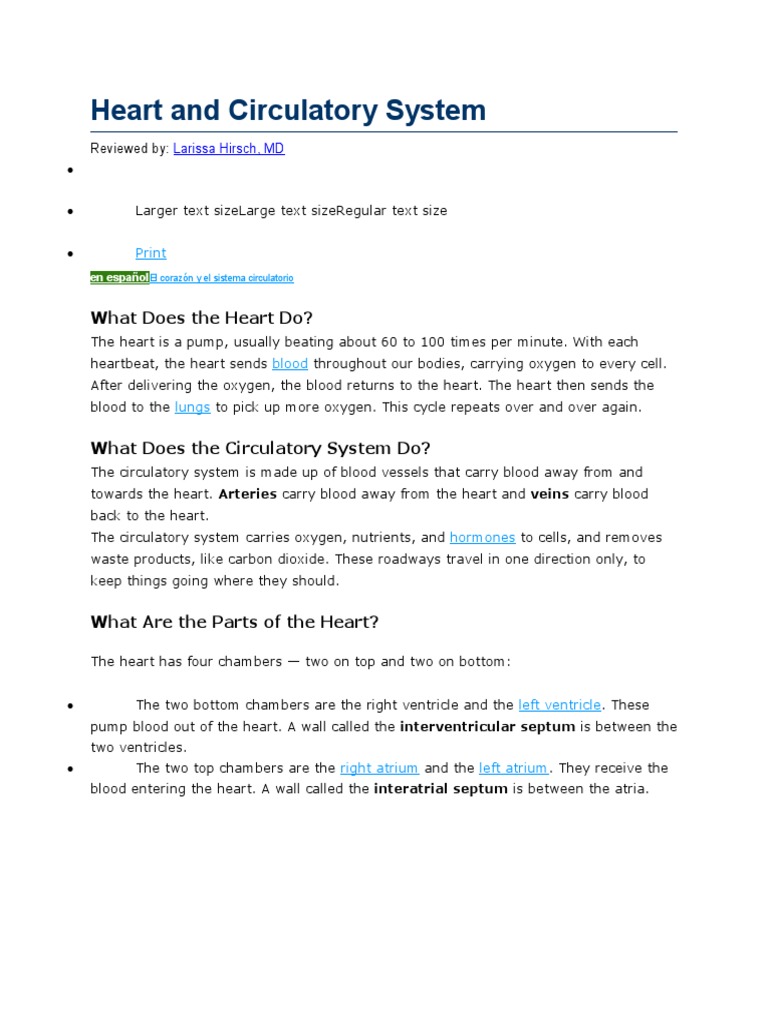 Understanding the Heart and Circulatory System | PDF | Heart ...