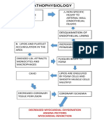 Pathophysiology: Risk Factors