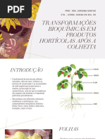 Aula 6.1 Transformações bioquímicas em produtos hortícolas após a colheita