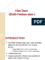Acid-Fast Stain (Ziehl-Neelsen Stain)
