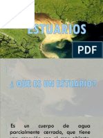 Estuarios PDF