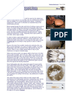 Making Spore Prints (MushroomExpert